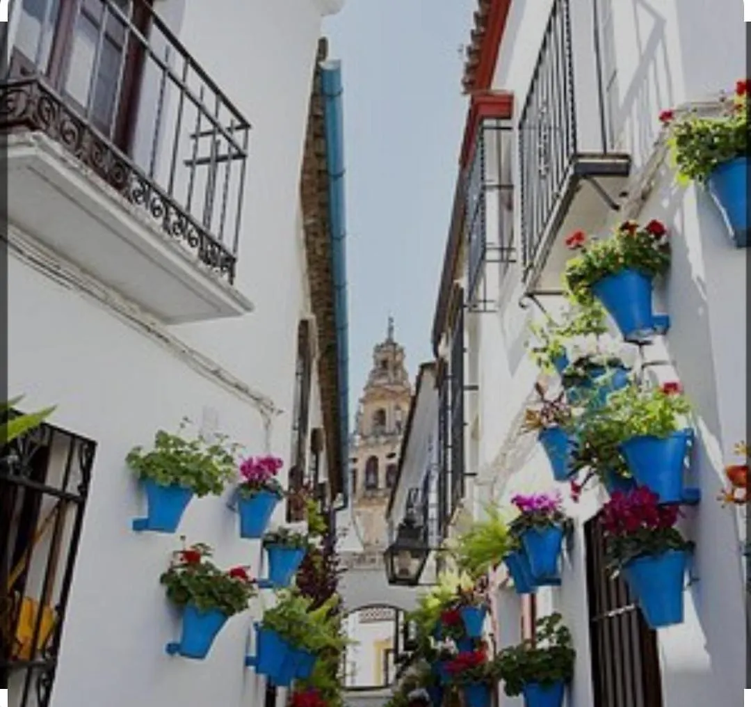 El Patio De La Cris Apartment Puente Genil